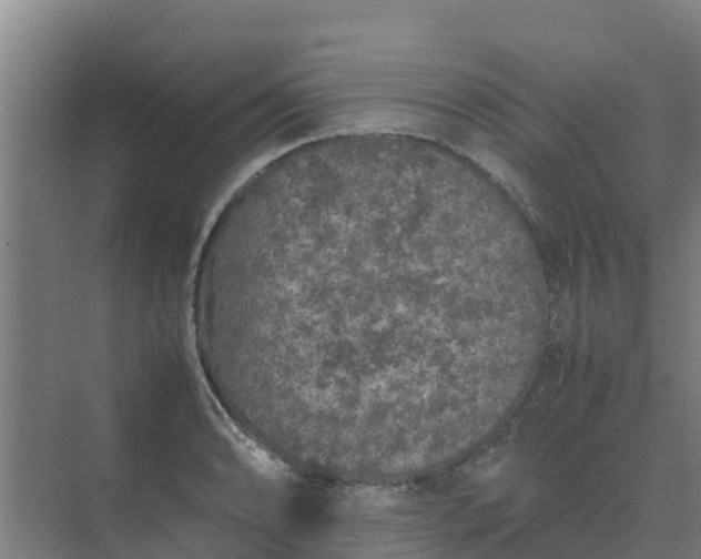 X0000074971086200609152116