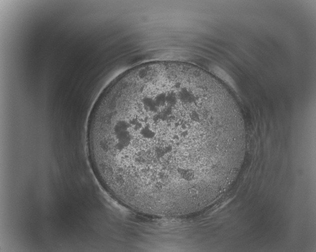 X0000074971087200609152116