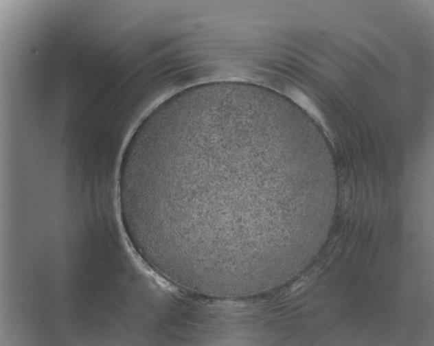 X0000074971088200609152116