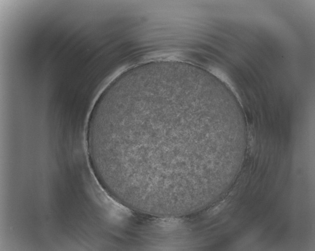 X0000074971090200609152116