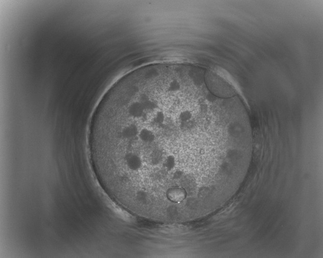 X0000074971091200609152116