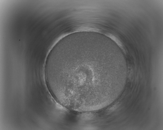 X0000074971094200609152116