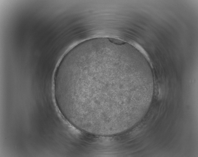 X0000074971096200609152116