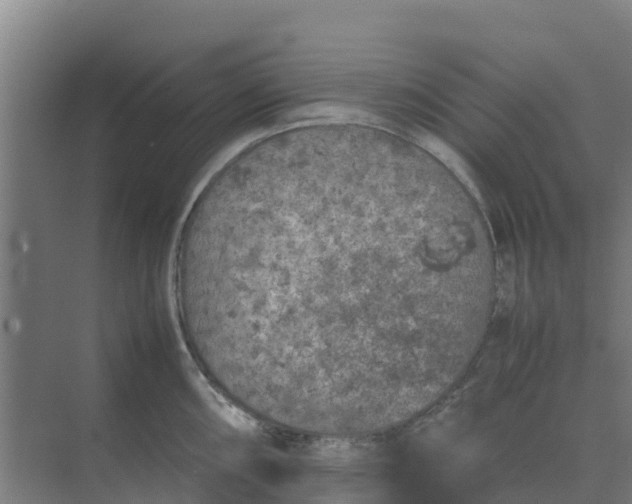 X0000074971098200609152116