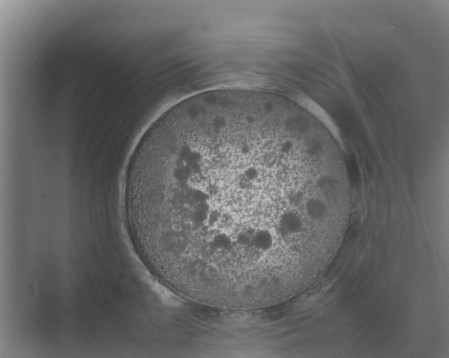 X0000074971099200609152116