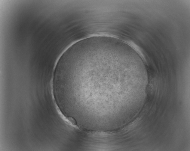 X0000074971100200609152116