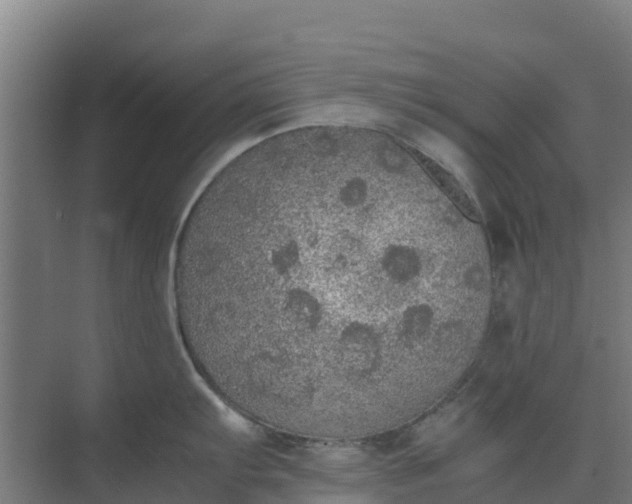 X0000074971103200609152116