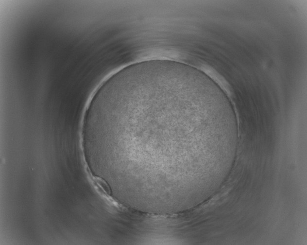 X0000074971104200609152116