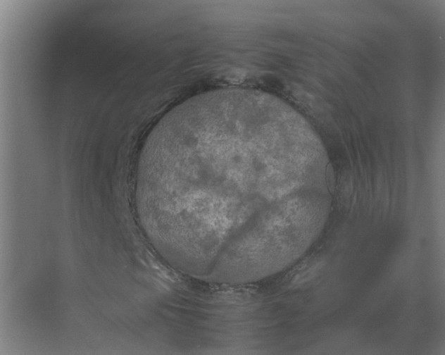 X0000074971105200609152115