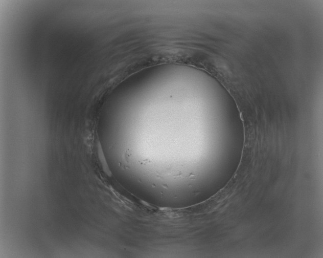 X0000074971109200609152115