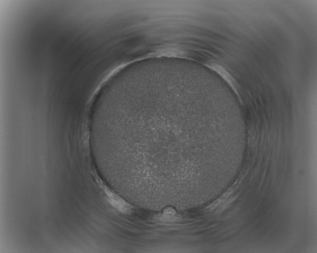 X0000074971115200609152115