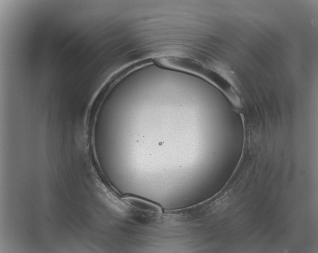 X0000074971116200609152115