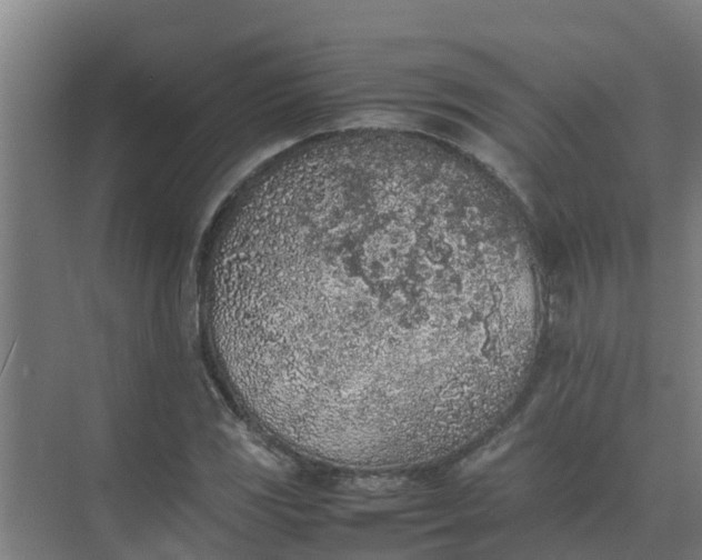 X0000074971117200609152115