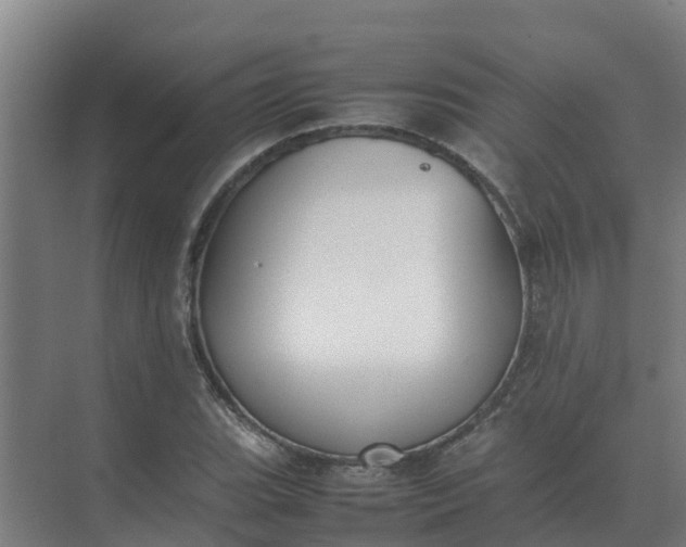 X0000074971119200609152115