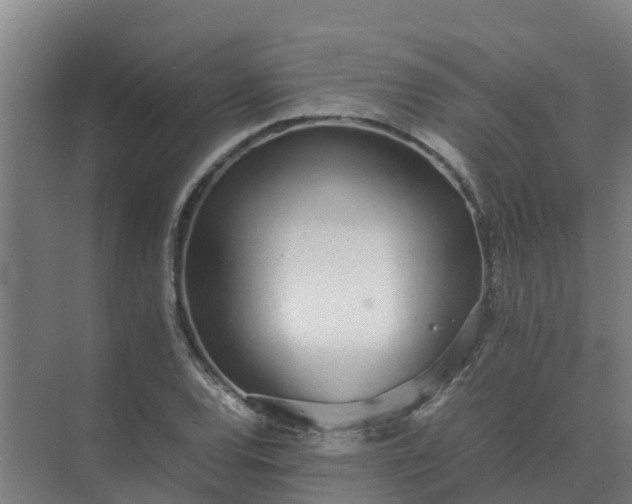 X0000074971120200609152115