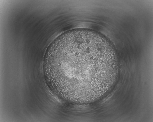 X0000074971121200609152115