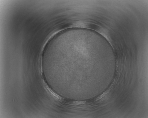 X0000074971123200609152115