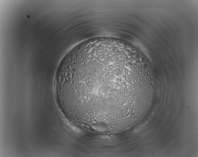 X0000074971125200609152115