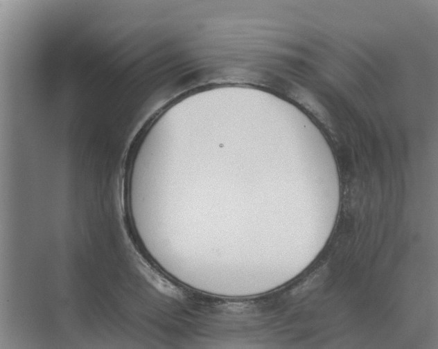 X0000074971130200609152115