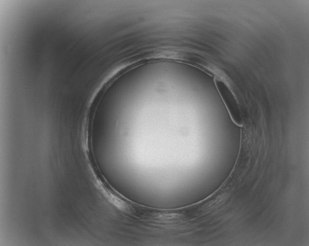 X0000074971131200609152115