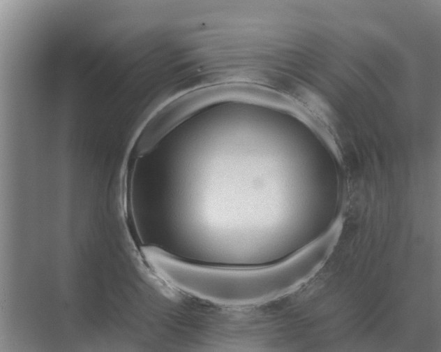 X0000074971132200609152115