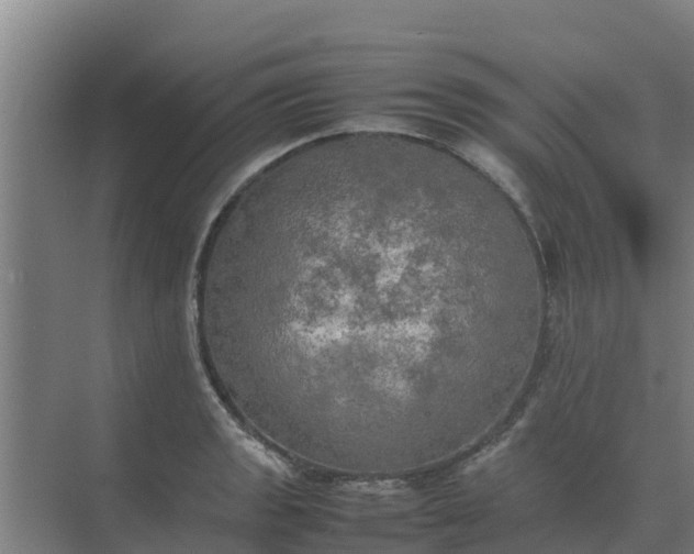 X0000074971133200609152115