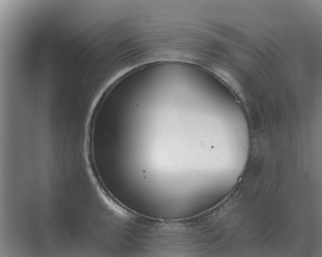 X0000074971136200609152115