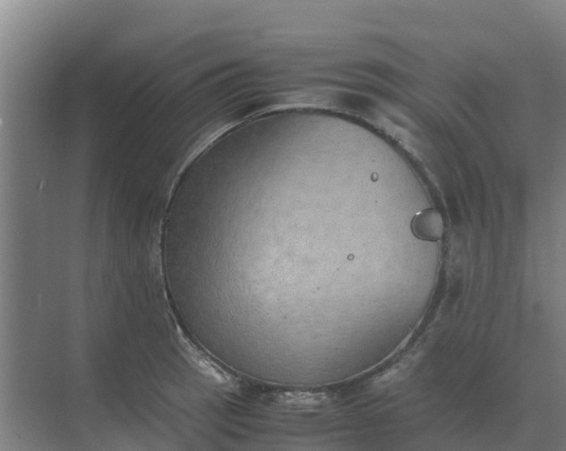 X0000074971137200609152116