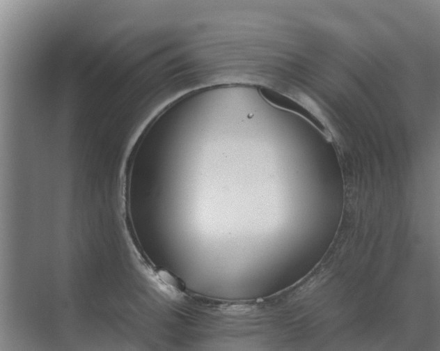 X0000074971140200609152116