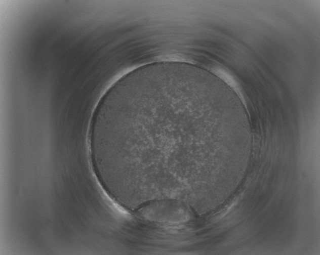 X0000074971141200609152116