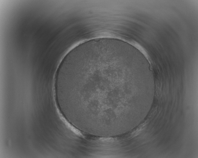 X0000074971142200609152116