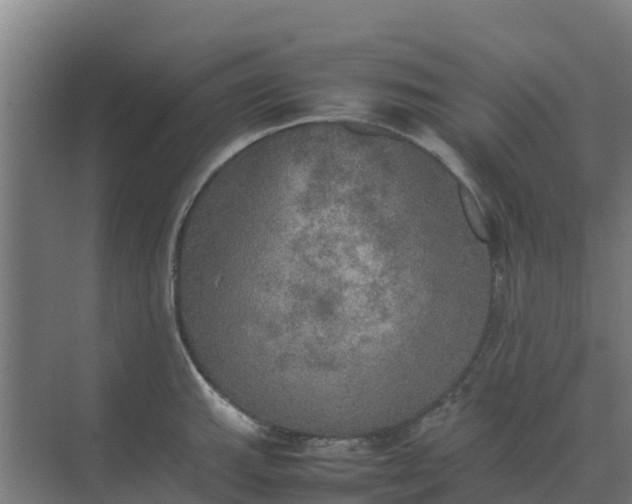 X0000074971143200609152116