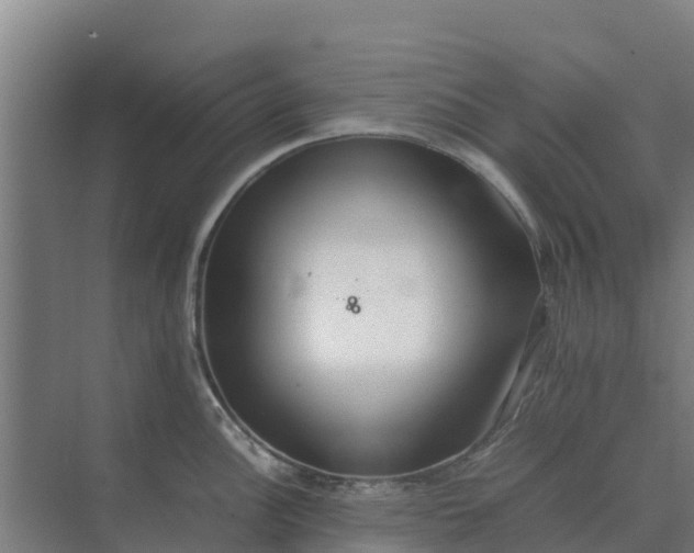 X0000074971148200609152116