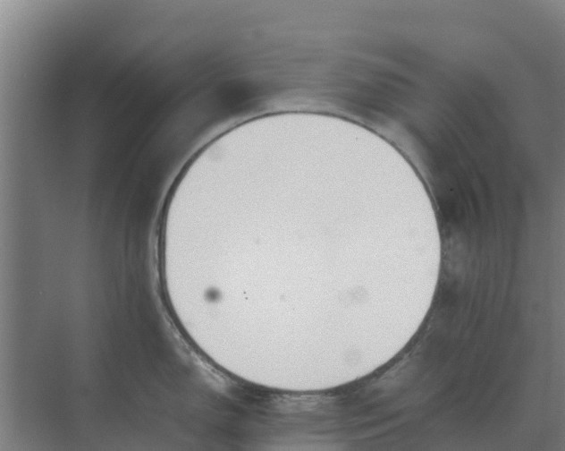 X0000074971150200609152116