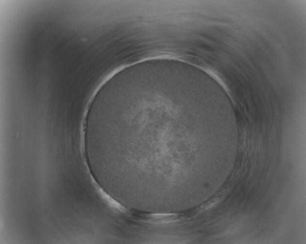 X0000074971151200609152116