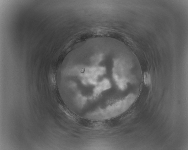 X0000074971155200609152115