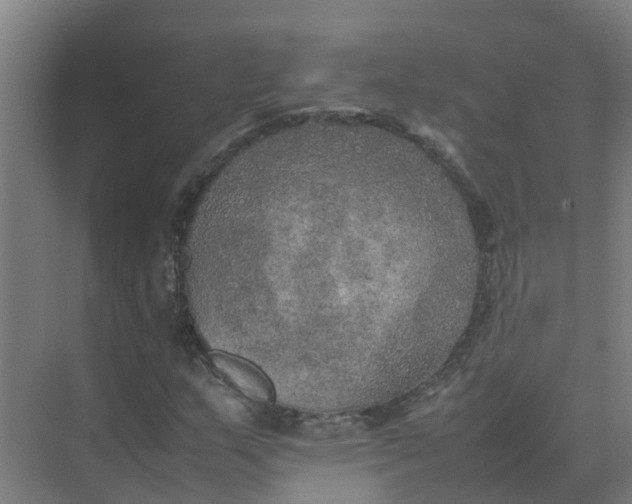 X0000074971159200609152115