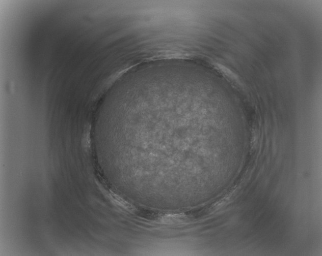 X0000074971161200609152115