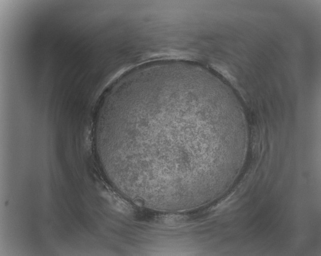 X0000074971163200609152115