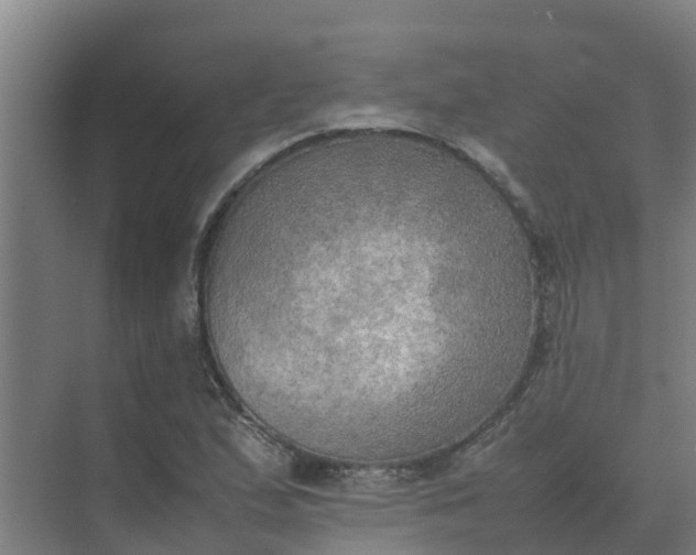 X0000074971167200609152115