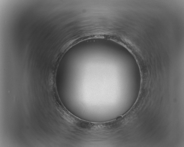 X0000074971169200609152115