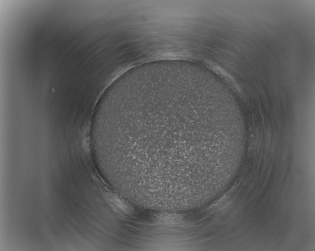 X0000074971170200609152115