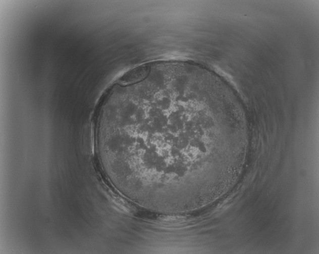 X0000074971171200609152115