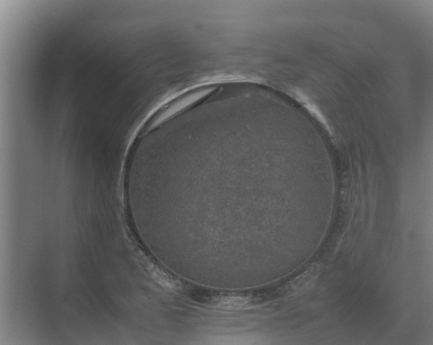 X0000074971173200609152115