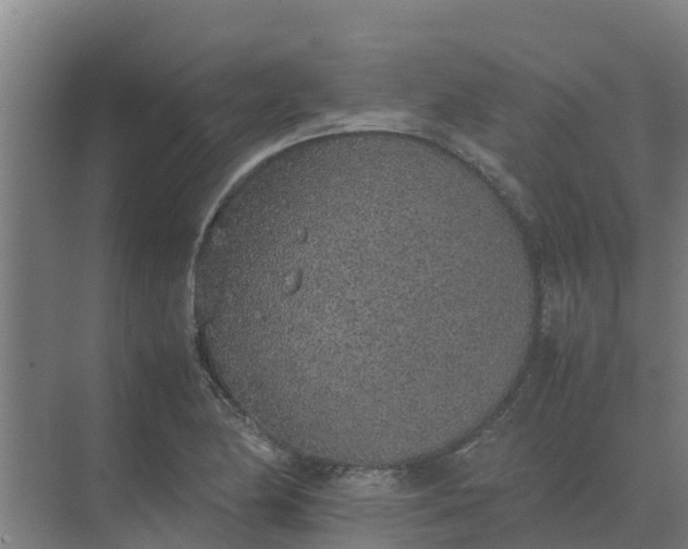 X0000074971174200609152115