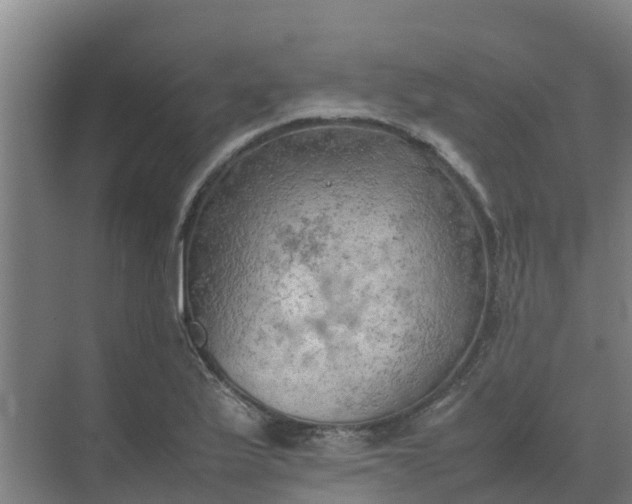 X0000074971175200609152115