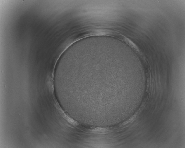 X0000074971178200609152115