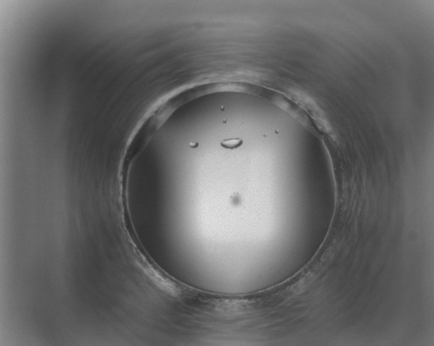 X0000074971184200609152114