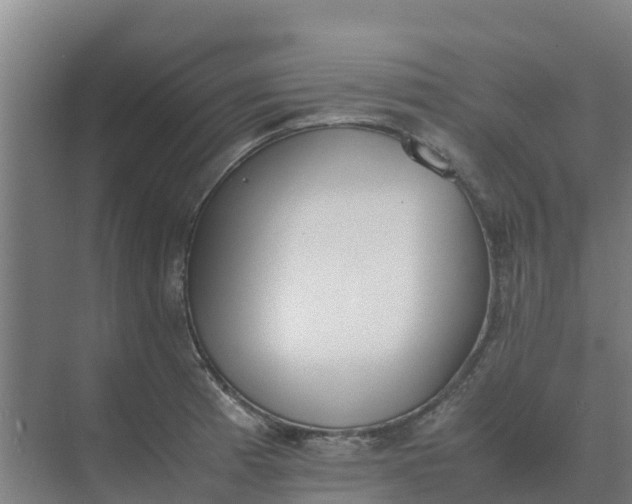 X0000074971185200609152114