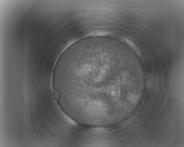 X0000074971186200609152114